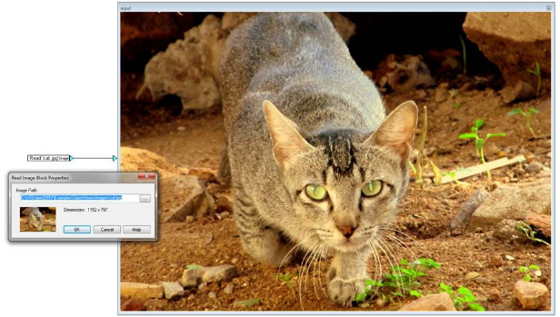 DisplayImageExample